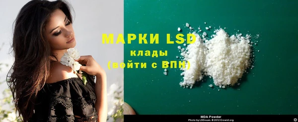 винт Алзамай