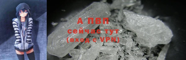 амф Алексин