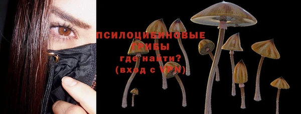 амф Алексин