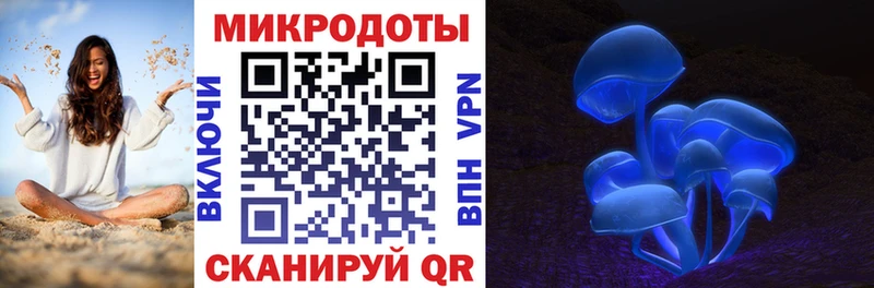 Псилоцибиновые грибы ЛСД  ссылка на мегу ТОР  Анадырь 